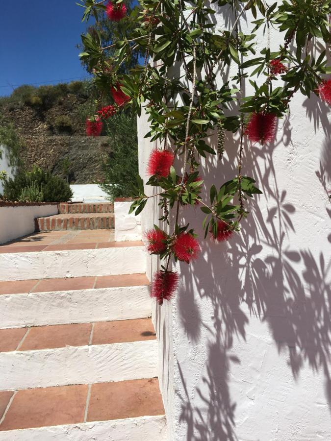 B&B And Apartments Cortijo La Zapatera Canillas de Aceituno Eksteriør bilde