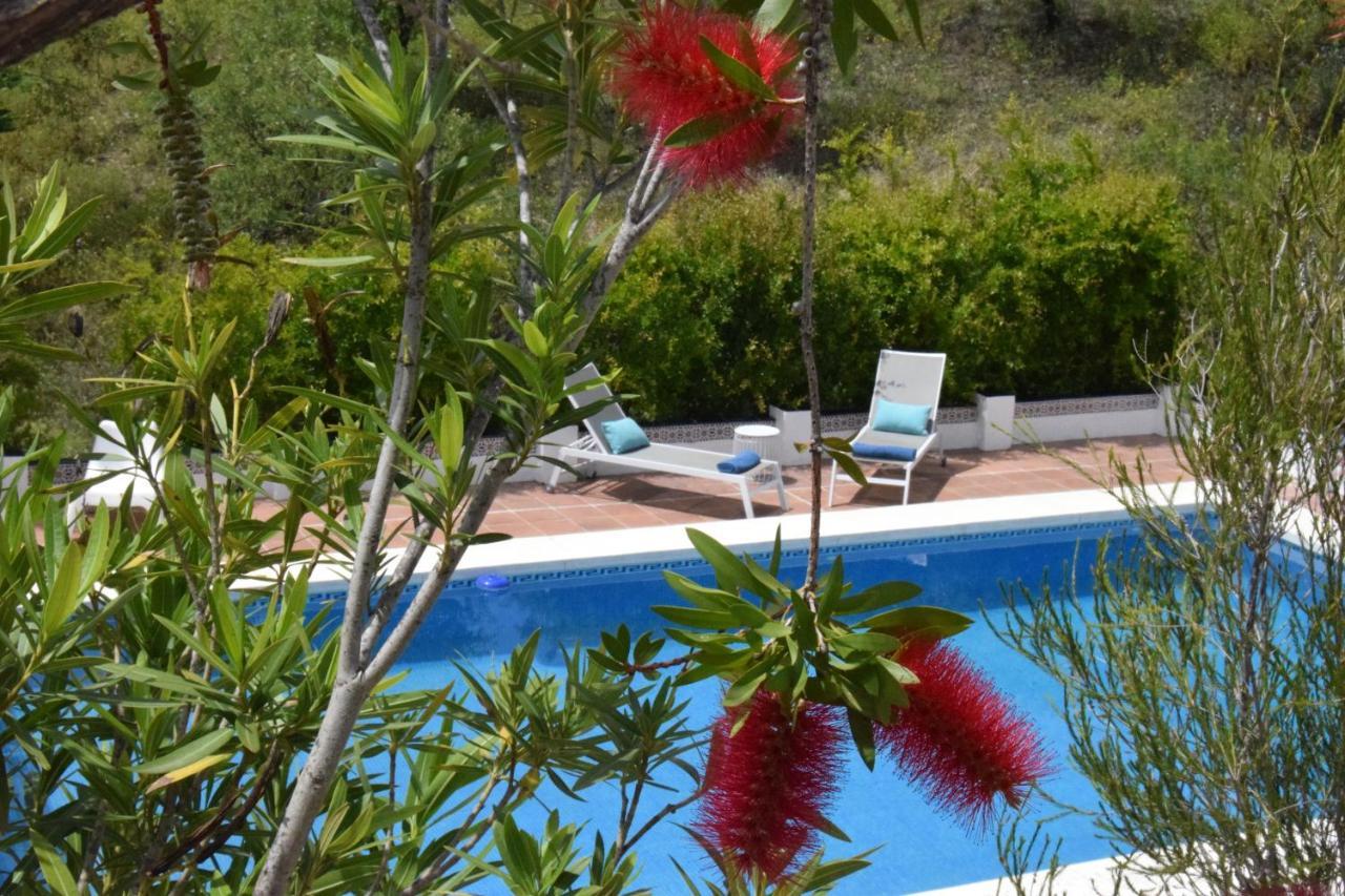 B&B And Apartments Cortijo La Zapatera Canillas de Aceituno Eksteriør bilde